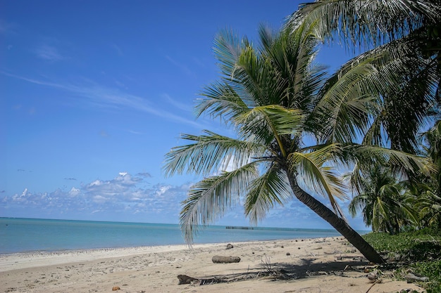 Playa de Maragogi