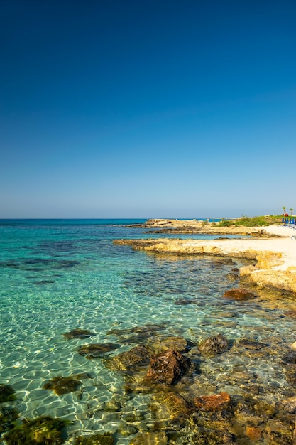 La playa más famosa de Chipre con aguas cristalinas Nissi Beach