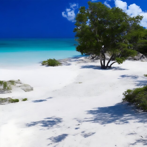 La playa más hermosa