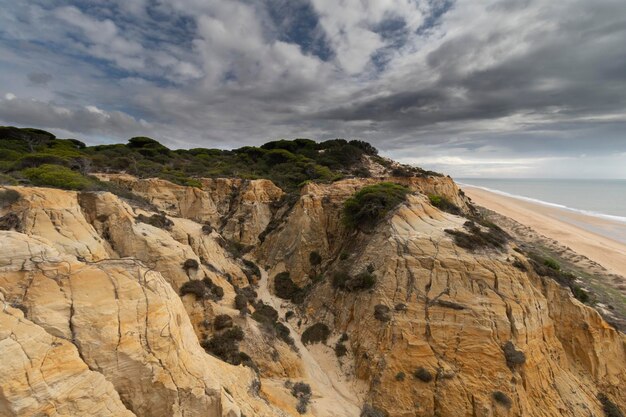 Playa de Mazagón en la provincia de Huelva España Una de las playas más bonitas de España