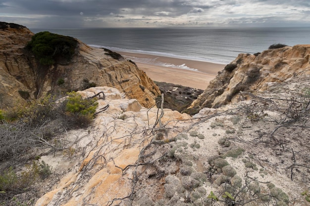 Playa de Mazagón en la provincia de Huelva España Una de las playas más bonitas de España