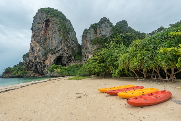 Foto playa con montañas rocosas y selva