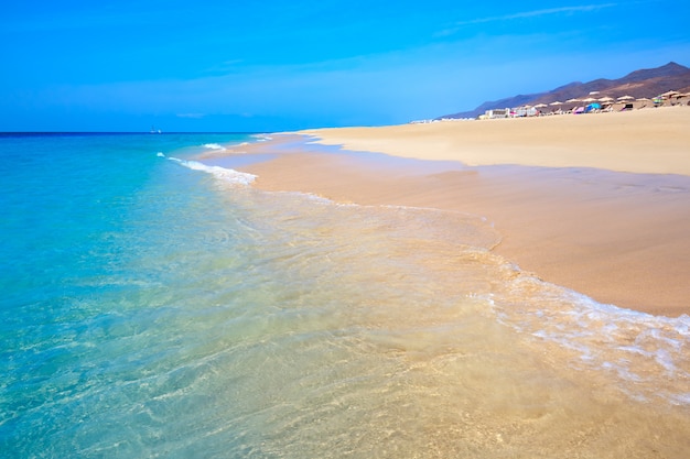 Playa Morro Jable Matorral Jandia en Fuerteventura