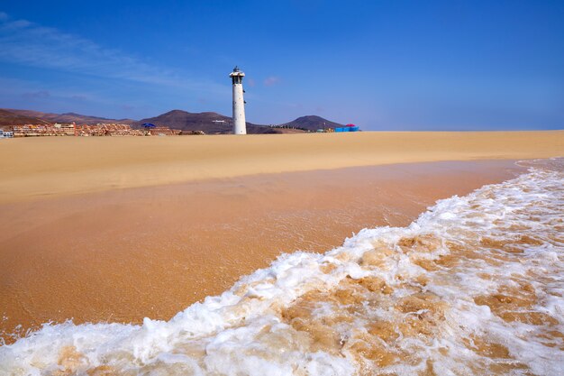 Playa Morro Jable Matorral Jandia en Fuerteventura