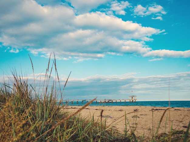 playa con muelle y paisaje de cielo despejado