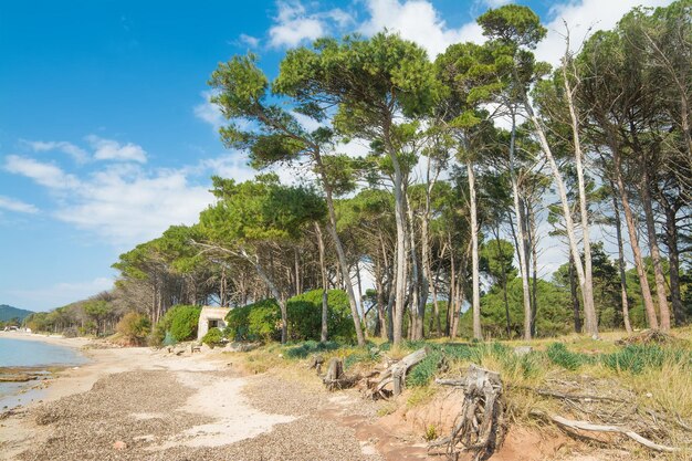 Playa de Mugoni en un claro día de primavera Rodada en Alghero Italia