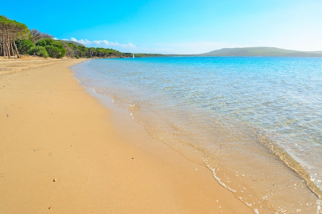 Playa de Mugoni en un día claro Cerdeña