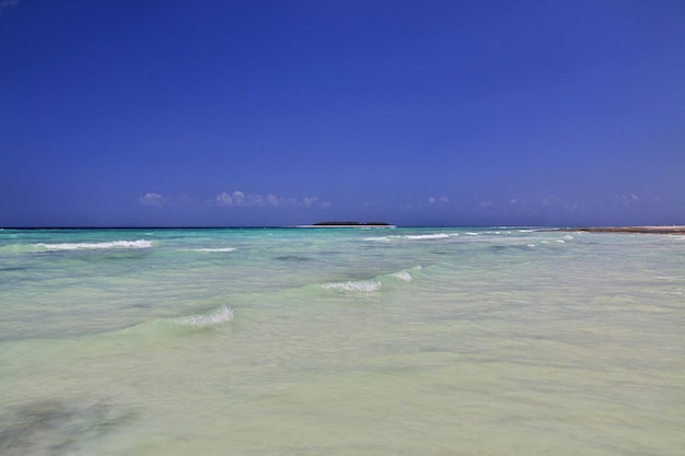 Playa de Nungwi en la isla de Zanzíbar, Tanzania