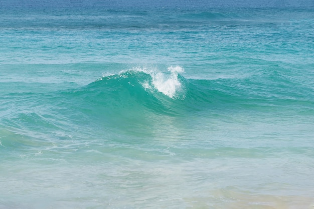 Playa con olas de mar de tornillo. República Dominicana.