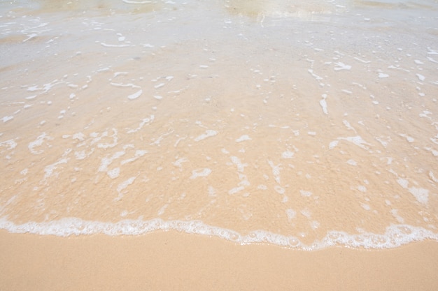 Playa y olas del mar