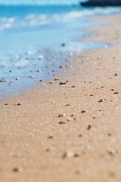 Playa a orillas del mar en un día soleado