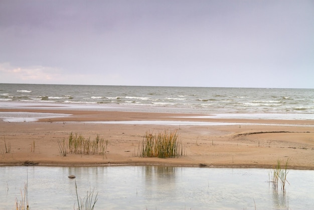 Playa de otoño del mar Báltico