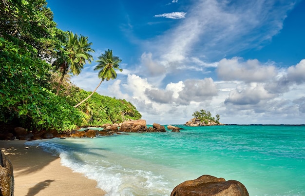 Playa con paisaje de palmeras y rocas