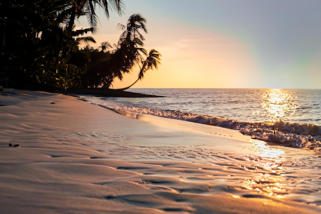 Foto una playa con palmeras al atardecer