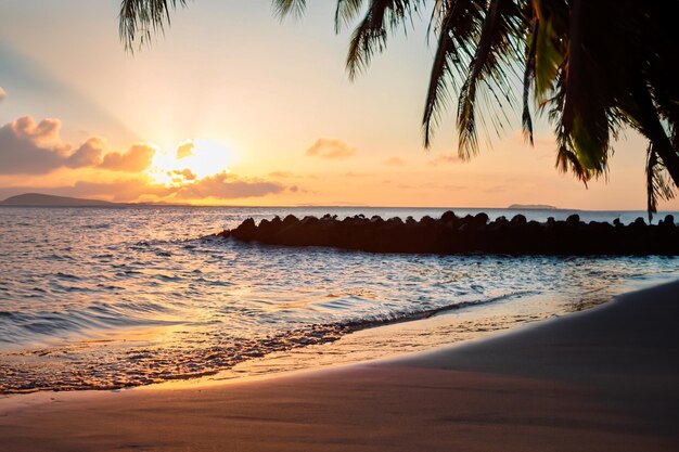 Una playa con palmeras al atardecer