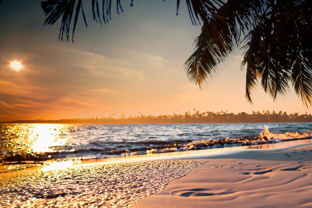 Foto una playa con palmeras al atardecer