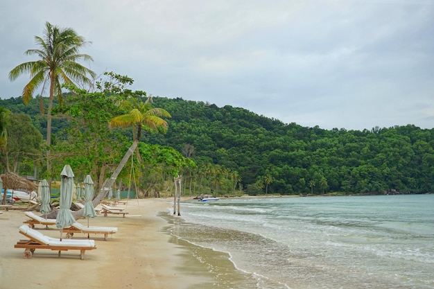 Foto una playa con palmeras y una montaña al fondo