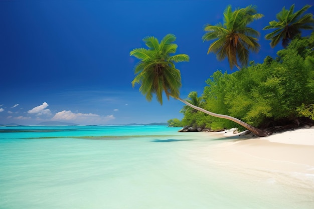 Una playa con palmeras y el océano al fondo.