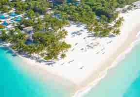 Foto playa con palmeras en la orilla en el estilo de vista de pájaro turquesa y vista de avión blanco en