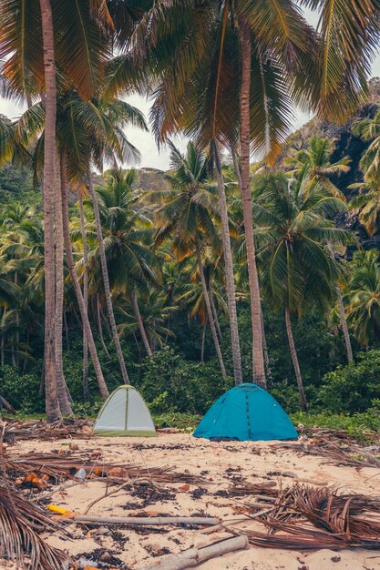 Playa del paraíso en el Caribe con casa de madera en el mundo tropical en la República Dominicana