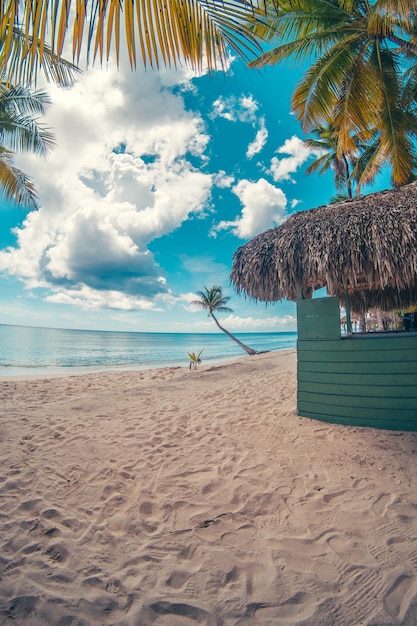 La playa del paraíso en el Caribe