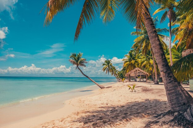 La playa del paraíso en el Caribe