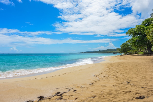 Foto playa paraíso