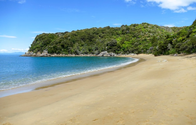 Foto playa en el parque nacional abel tasman