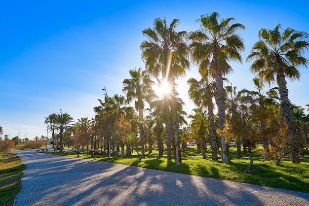 Playa El Pinar en el Grao de Castellon