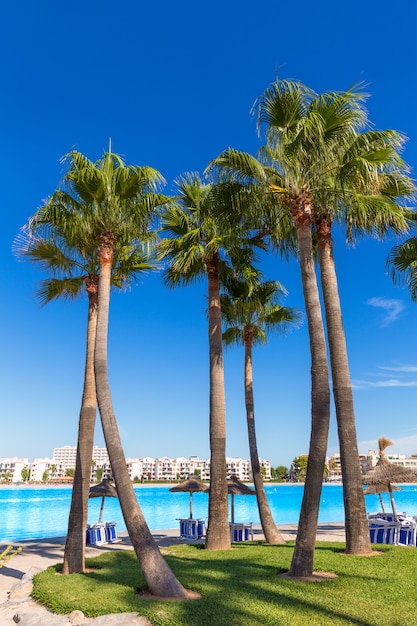 Playa de la platja de alcudia en mallorca mallorca