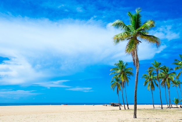 Playa y playa tropical tropical mar