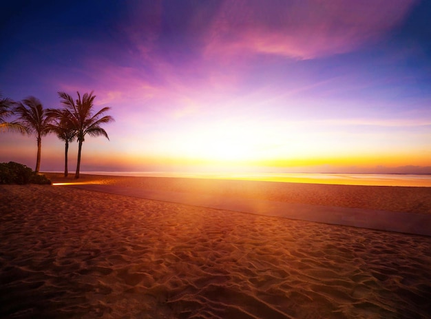 Una playa con puesta de sol y palmeras.