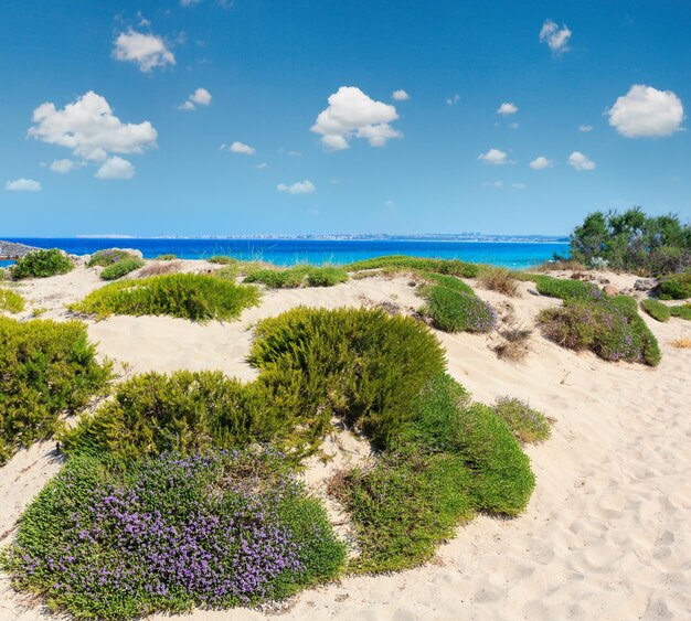 Playa Punta della Suina Salento Italia