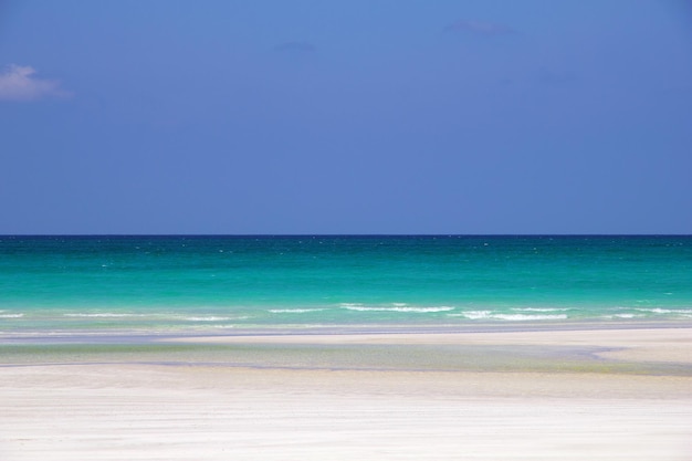 Playa Qalansiyah isla de Socotra océano Índico Yemen