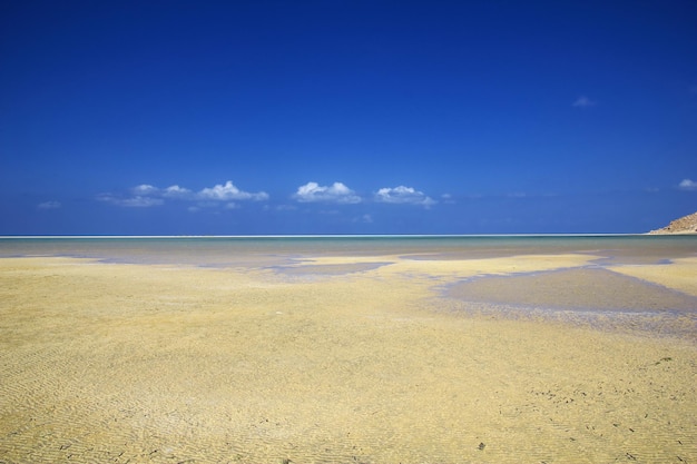 Playa Qalansiyah isla de Socotra océano Índico Yemen