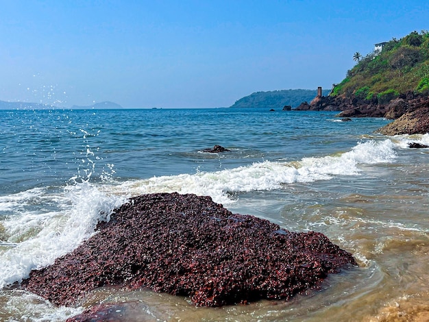 Foto una playa con una roca en el agua.