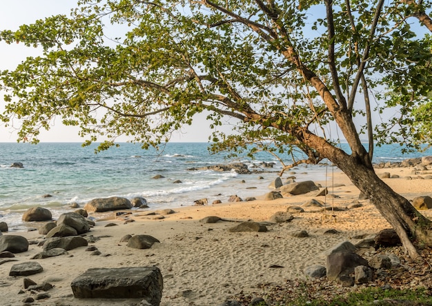 Foto playa de roca con paisaje de madera swing