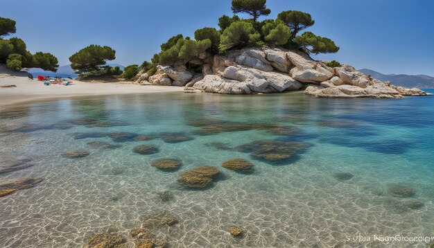 Foto una playa con rocas y árboles en la orilla