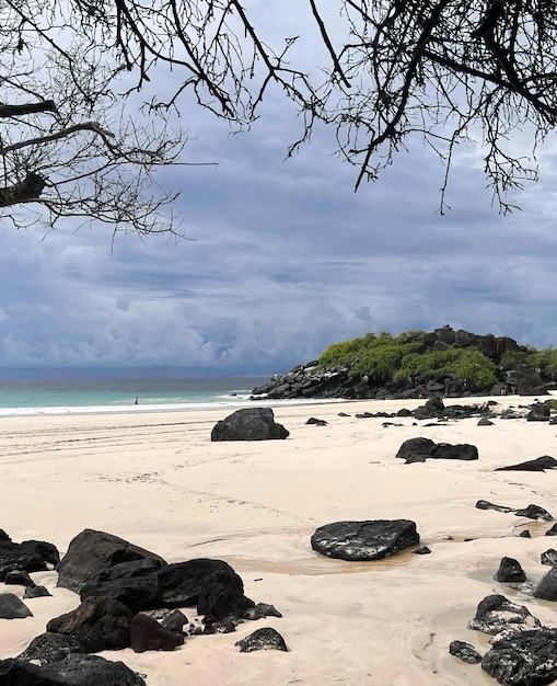 Una playa de rocas negras y una isla verde al fondo