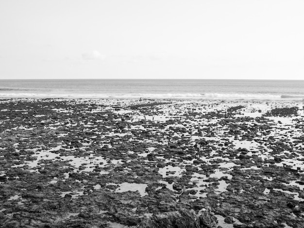 una playa con rocas y una playa con una playa en el fondo