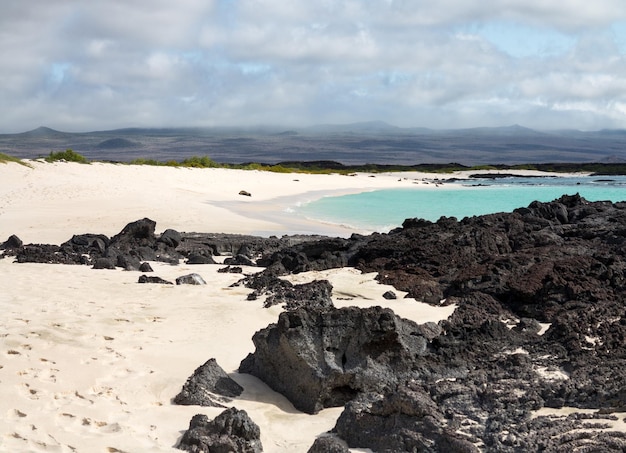 Playa de rocas volcánicas en Galápagos