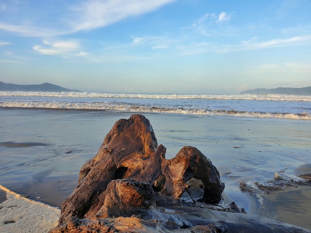 playa rocosa por la mañana