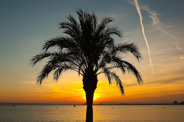 Playa de rosas