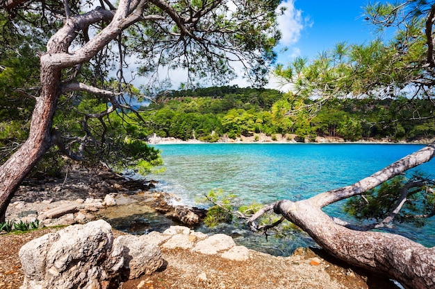 Playa y ruinas en Phaselis Turquía