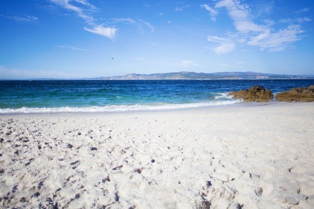 Foto playa salvaje en verano