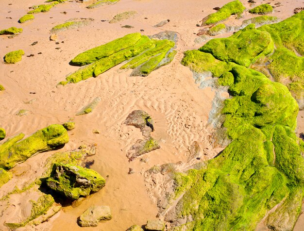 Playa de santander