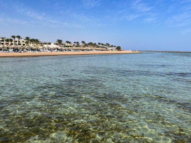 Foto la playa de sharm el sheikh