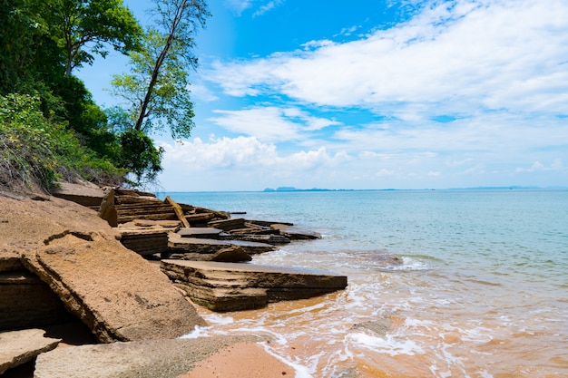 La playa de Shell Fossils fue erosionada por las olas del mar, mar durante la temporada de verano.