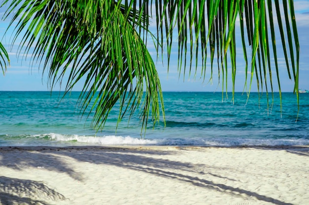 Playa en Sihanoukville Palmeras y mar azul