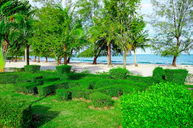 Foto playa en sihanoukville palmeras y mar azul